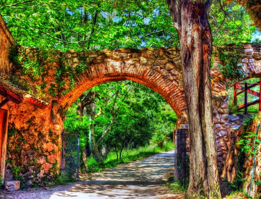 Alcover - Mas de Forés - Alt Camp