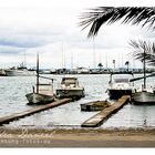 Alcudia Hafen