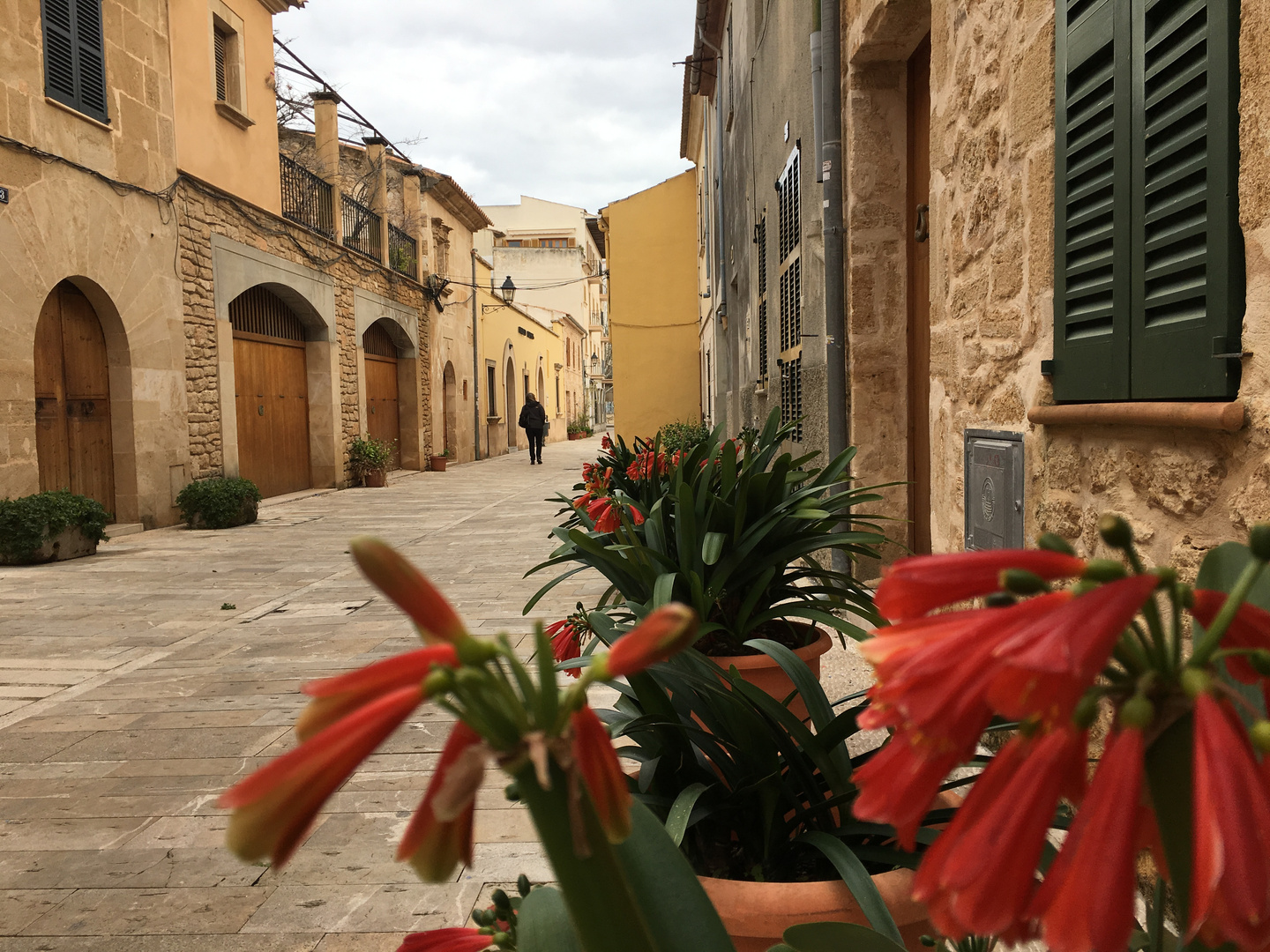 Alcúdia - in der Altstadt 