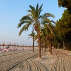 ...Alcudia`s Strandpromenade...