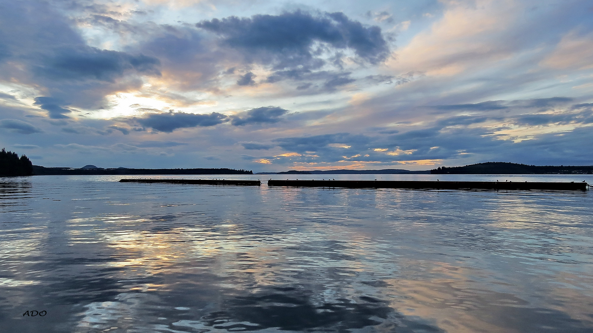 Alder Bay  Evening