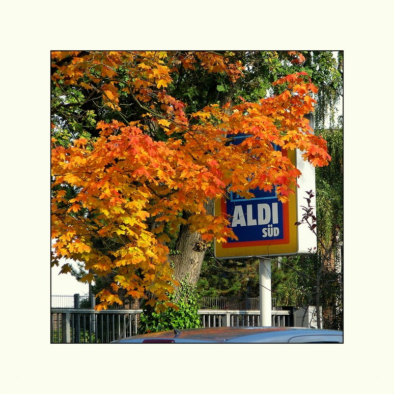 ALDI Süd