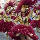 Alegría en el carnaval