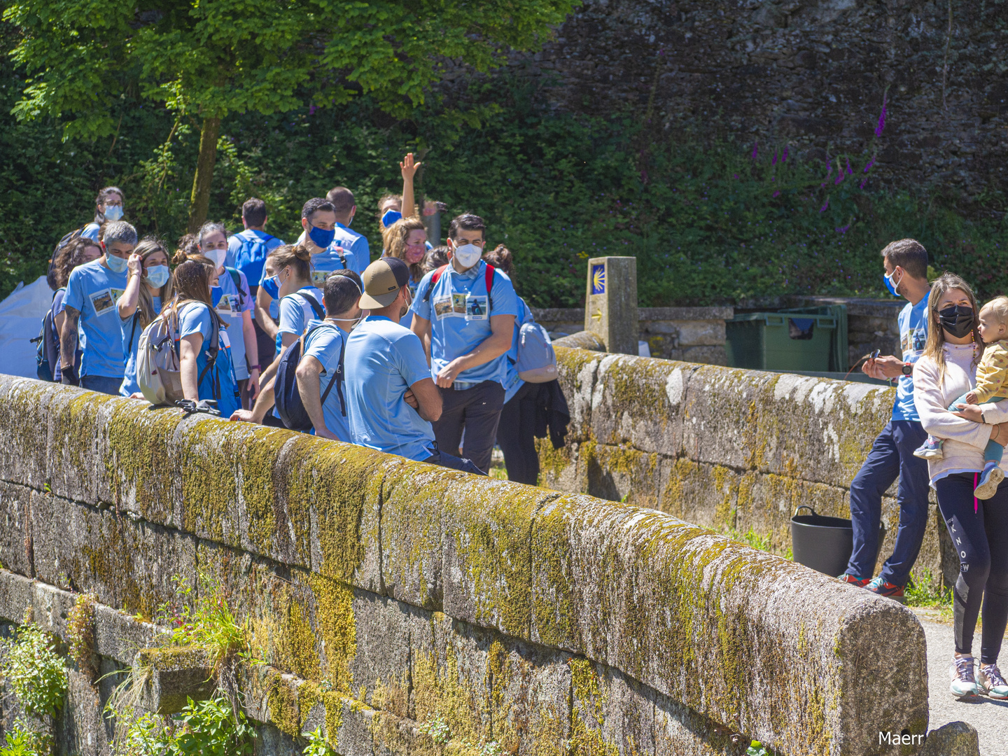 Alegría primaveral en un puente romano en El Camino de Santiago.