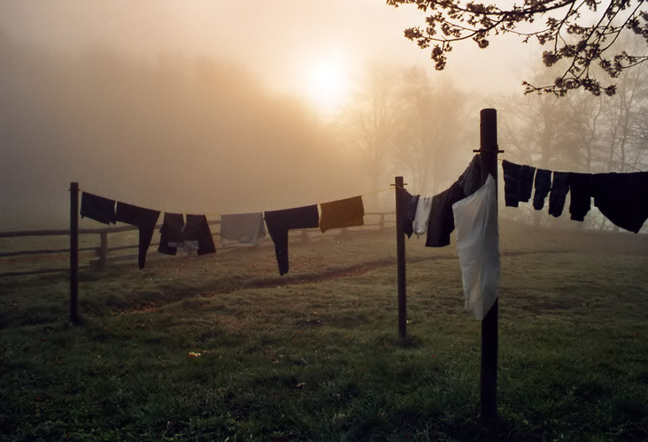 Aleine mit der Wäsche auf der Leine Foto & Bild | stillleben, motive