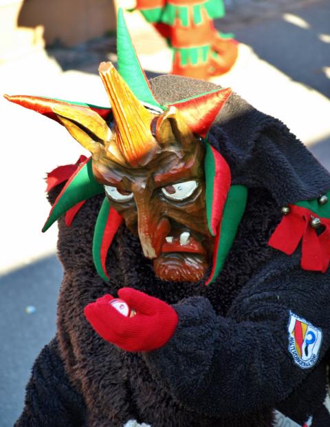 Alemannische Straßenfasnacht 2019