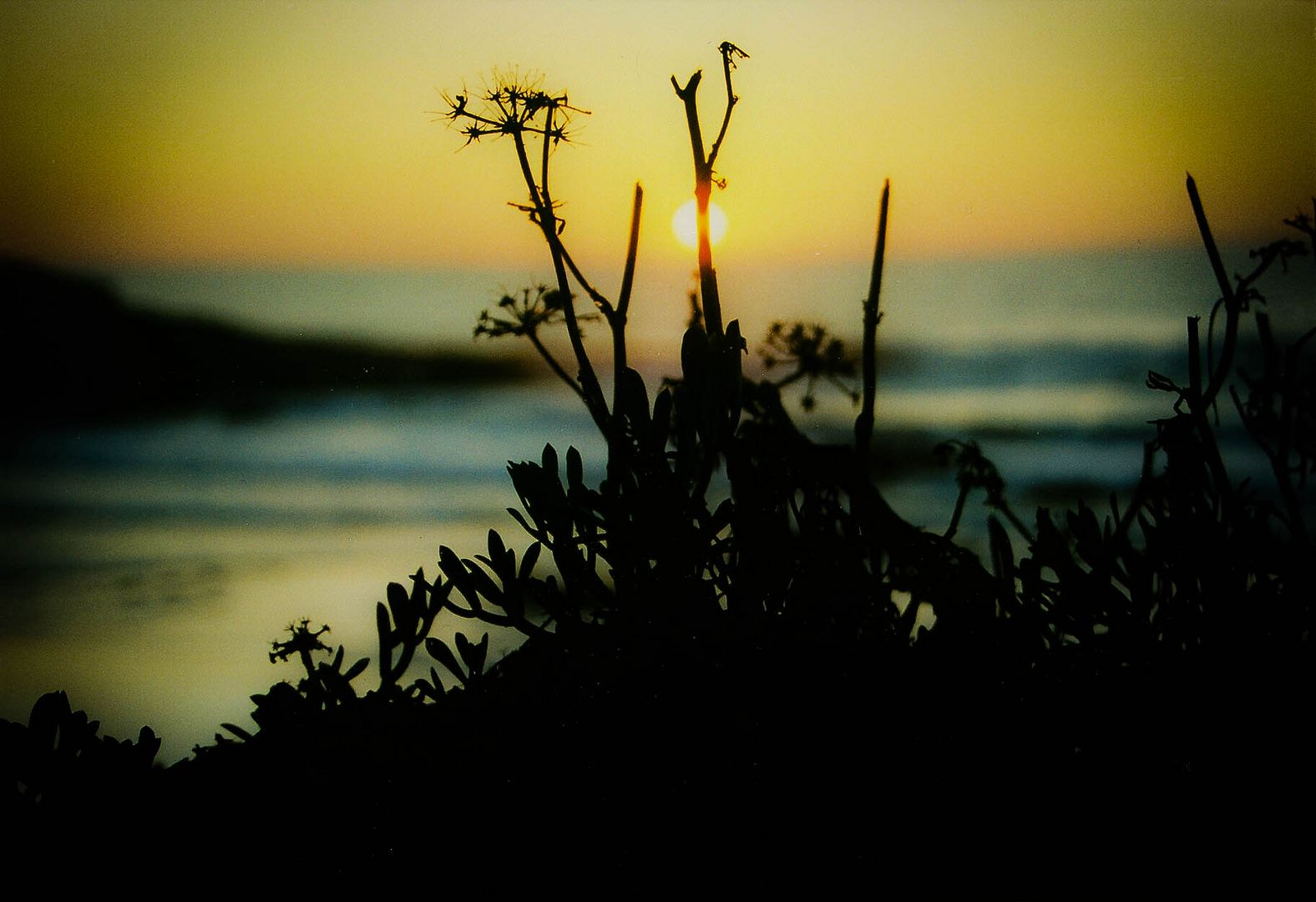 Alentejo