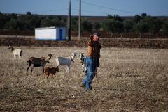 Alentejo