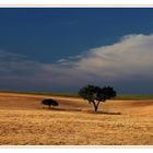 Alentejo 1