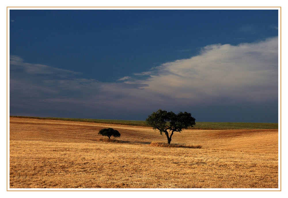 Alentejo 1