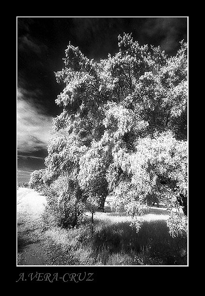 Alentejo !