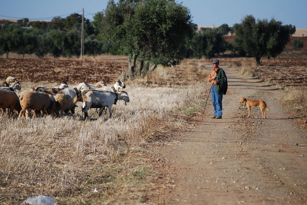 Alentejo -2