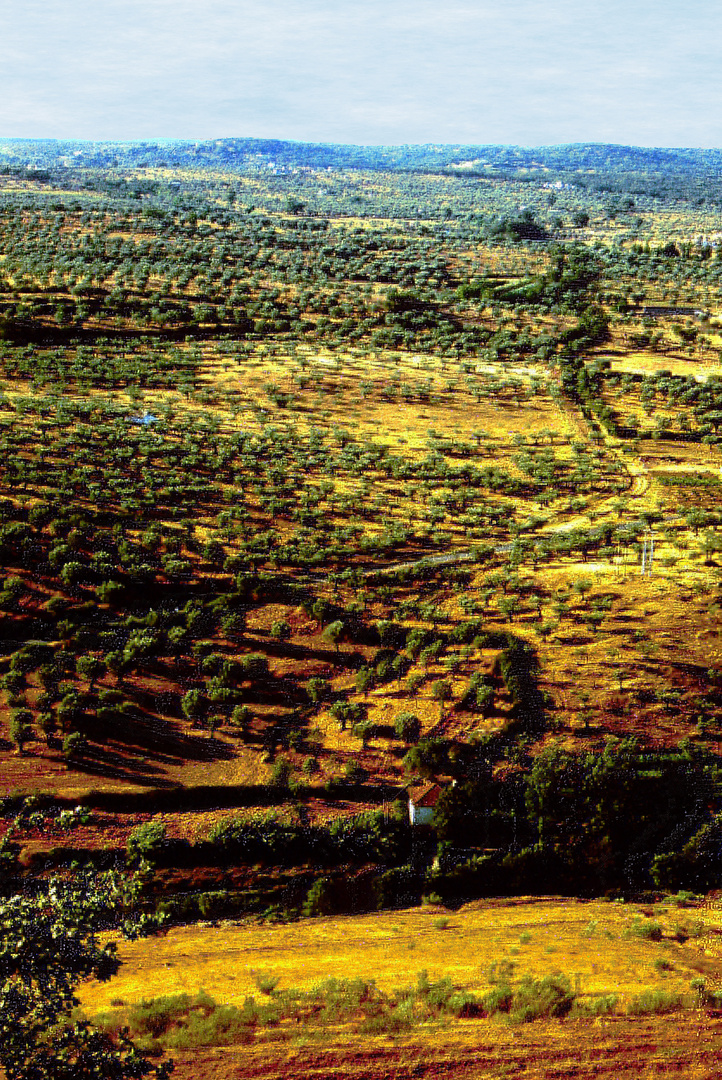 Alentejo