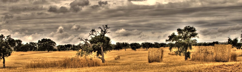 Alentejo