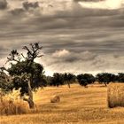 Alentejo