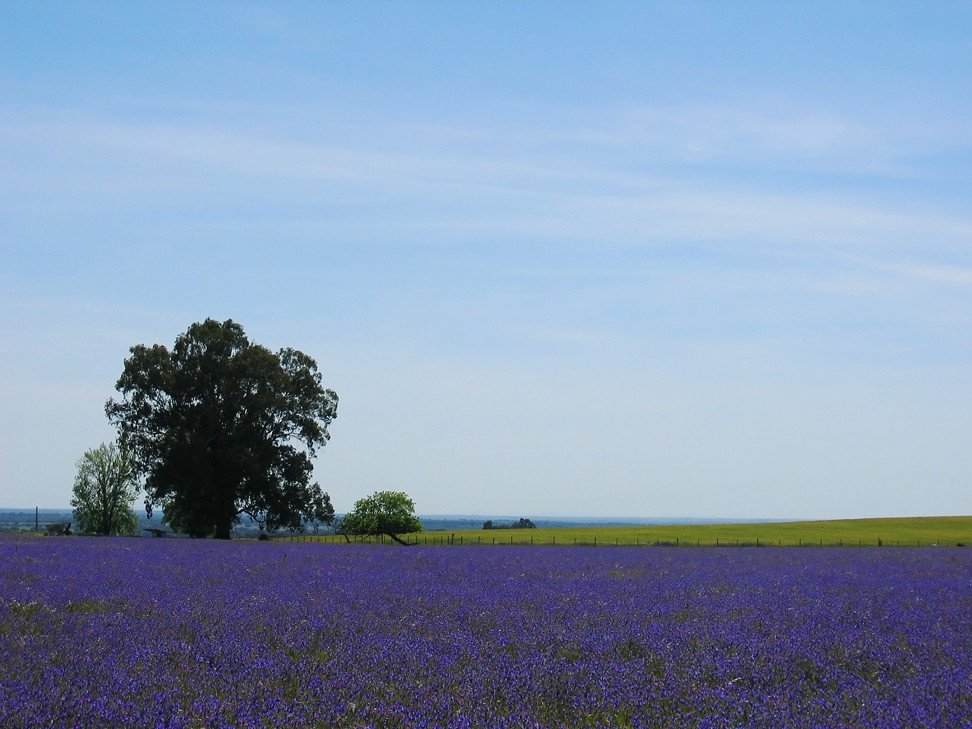 Alentejo...