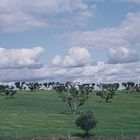 Alentejo Landscape