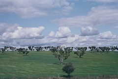 Alentejo Landscape