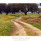 Alentejo - Portugal