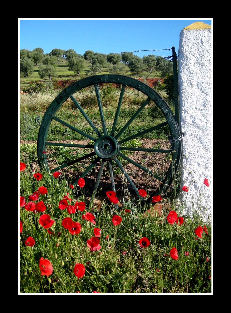 Alentejo (portugal)