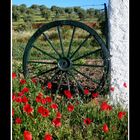 Alentejo (portugal)