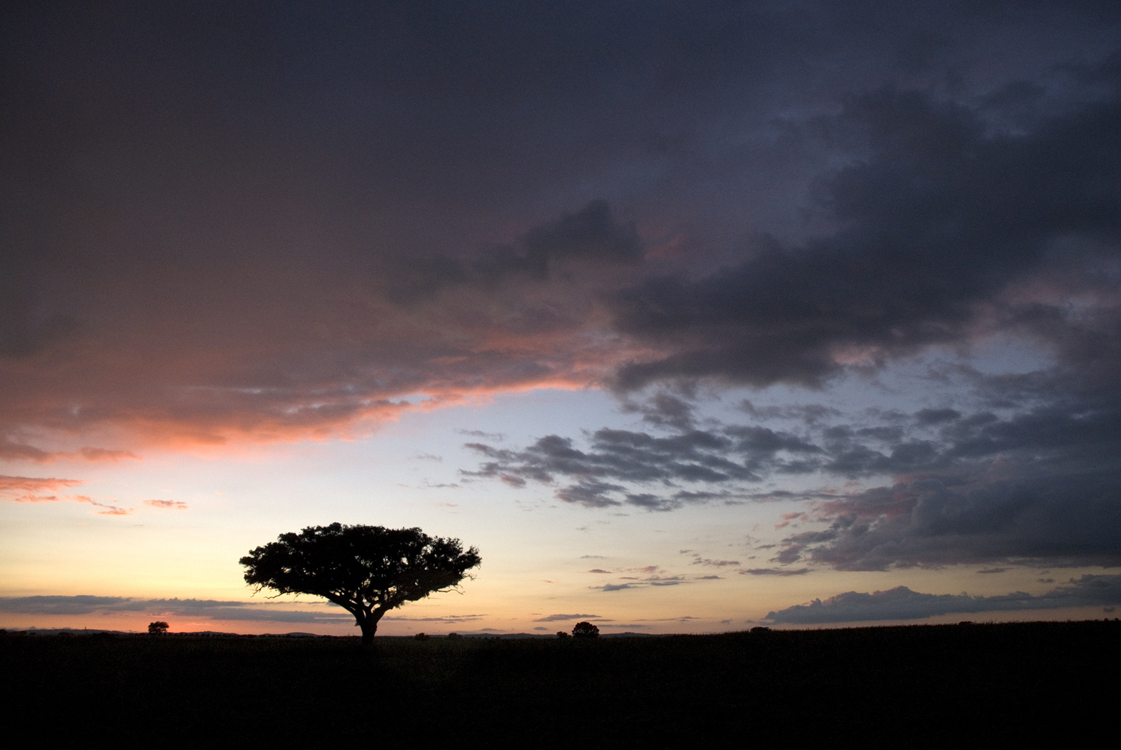 Alentejo - Portugal