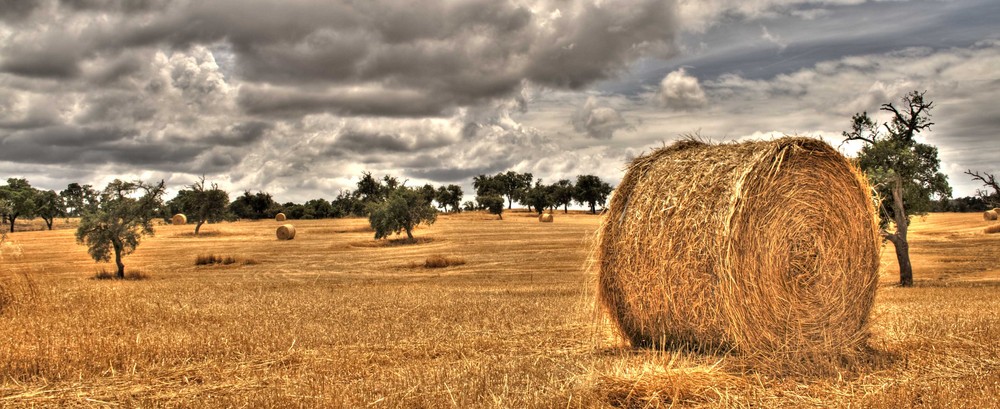 Alentejo_1