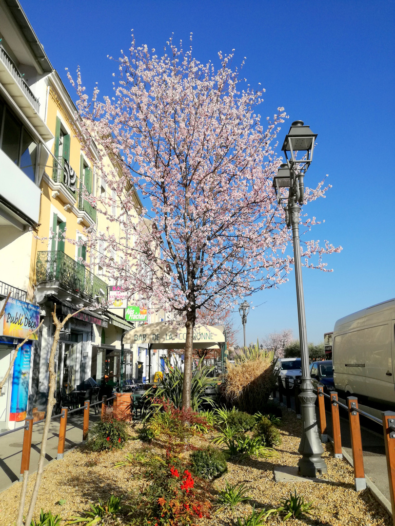 Alès au printemps ....