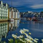 Alesund 1