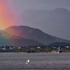 Alesund am späten Nachmittag