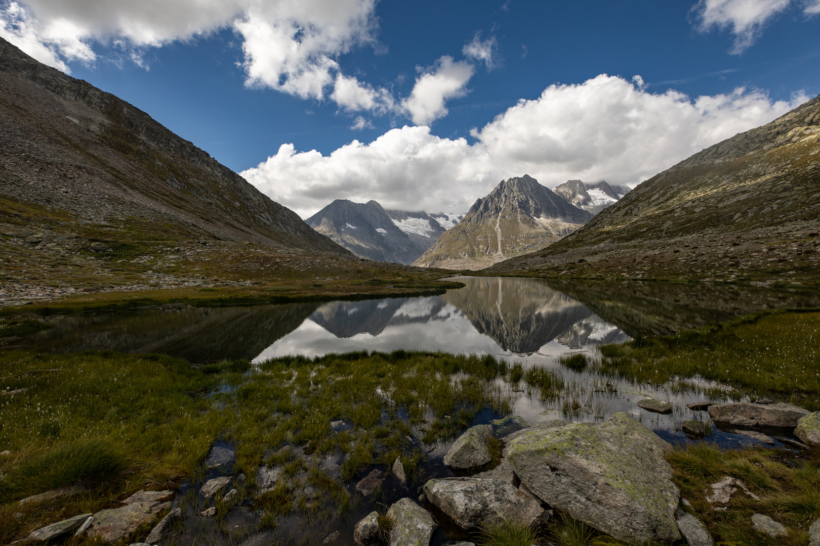 Aletsch (1)