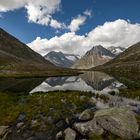 Aletsch (1)