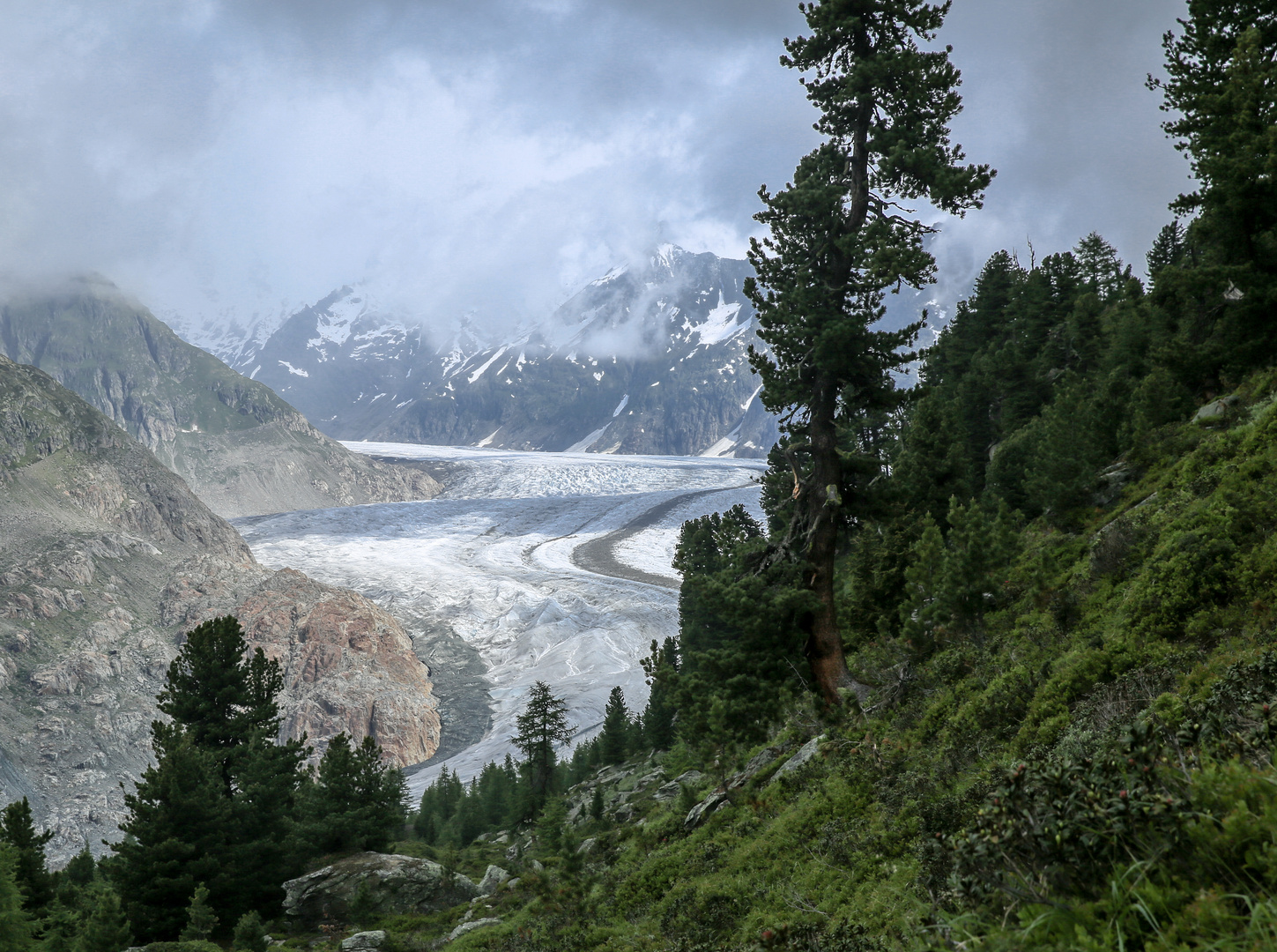 Aletsch (1)