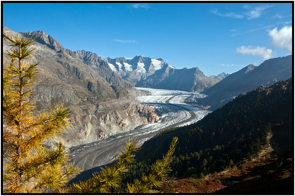 Aletsch 1