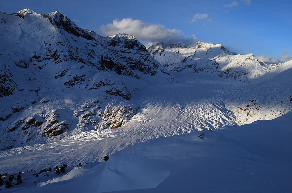 Aletsch