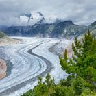 Aletsch