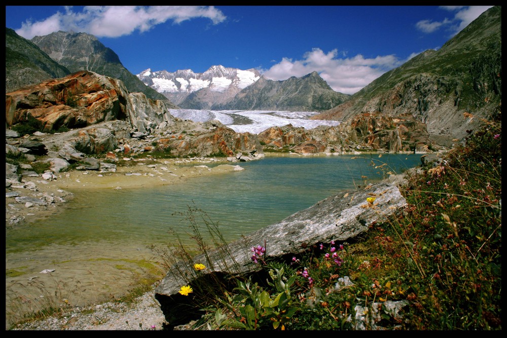 Aletsch Area