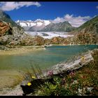 Aletsch Area