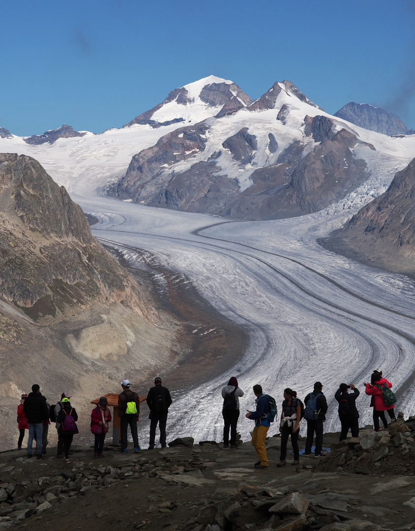 Aletsch Arena