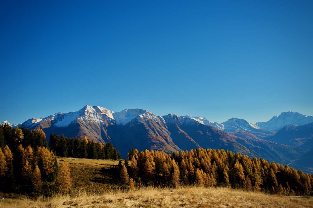 Aletsch