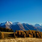 Aletsch