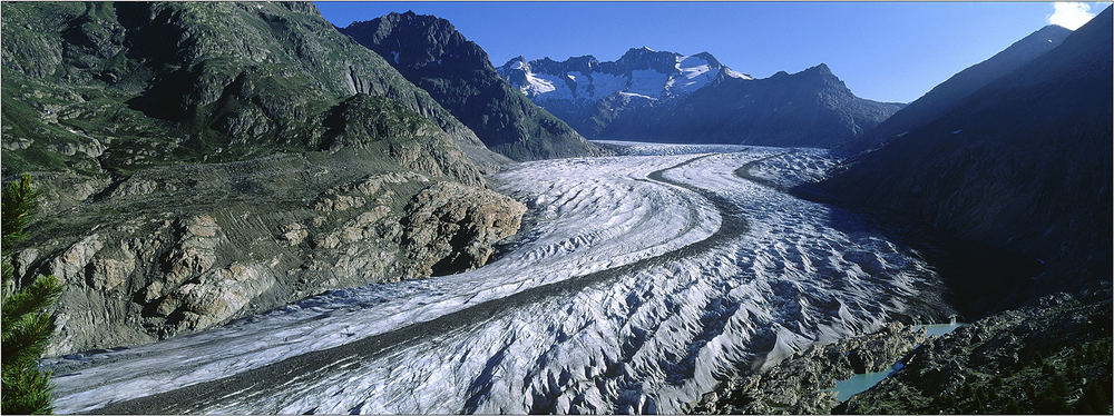 Aletsch