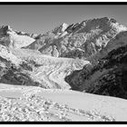 Aletsch gletscher