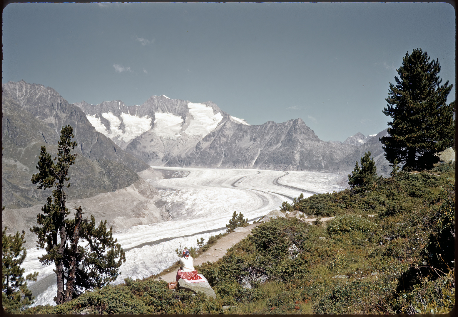 Aletsch- und Fieschergletscher 1959 auf Kodachrome