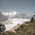 Aletsch- und Fieschergletscher 1959 auf Kodachrome