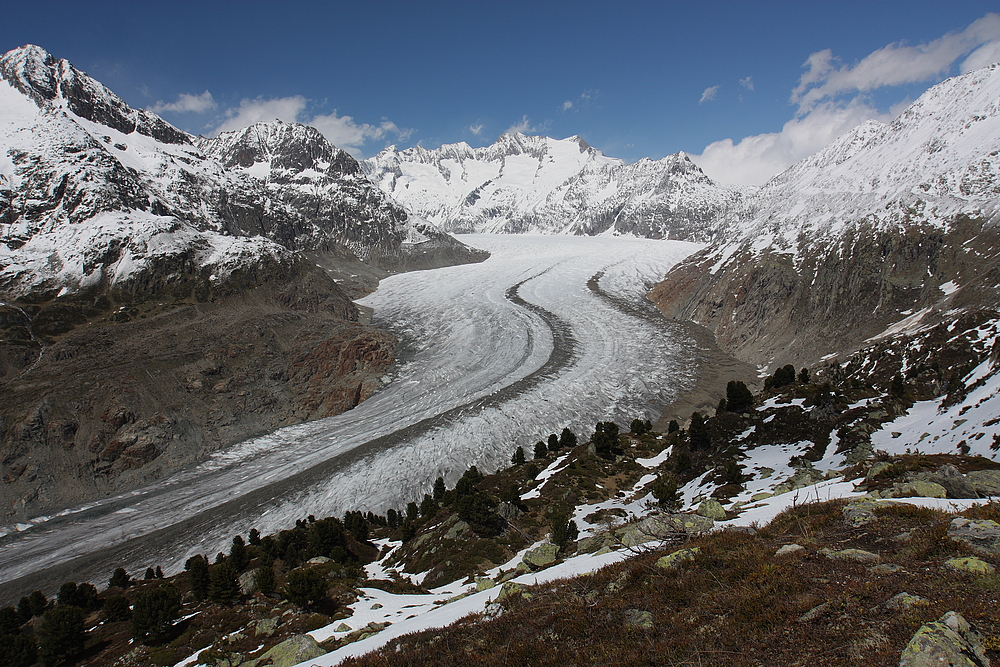 Aletsch ..................zum 100 000 mal - und trotzdem immer wieder schön ?