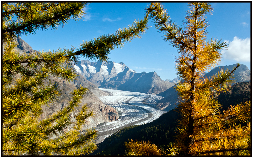 Aletsch2