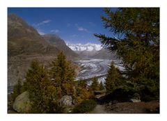 Aletschgletscher