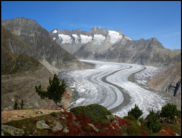 Aletschgletscher