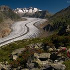 Aletschgletscher